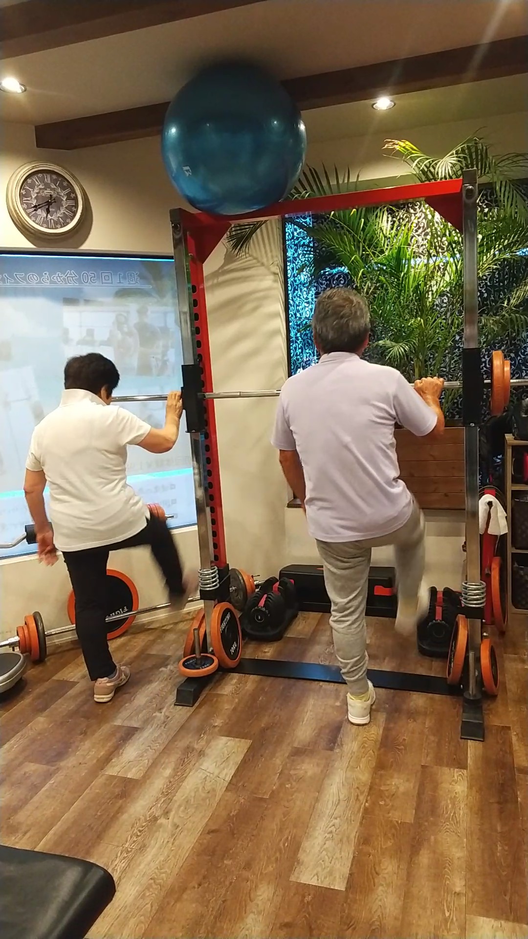 機能改善で理想の体を手に入れる！シニアに最適なフィットネスプログラム